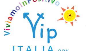 VIP logo login